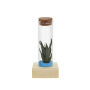 Tiny Treasurez® - Single tube & wood, Licht blauw