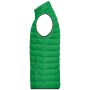 Men's Down Vest fern green/silver 3XL