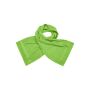 Sport Towel lime-green