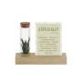 Tiny Treasurez® - Cardholder & tube, Natuurlijk