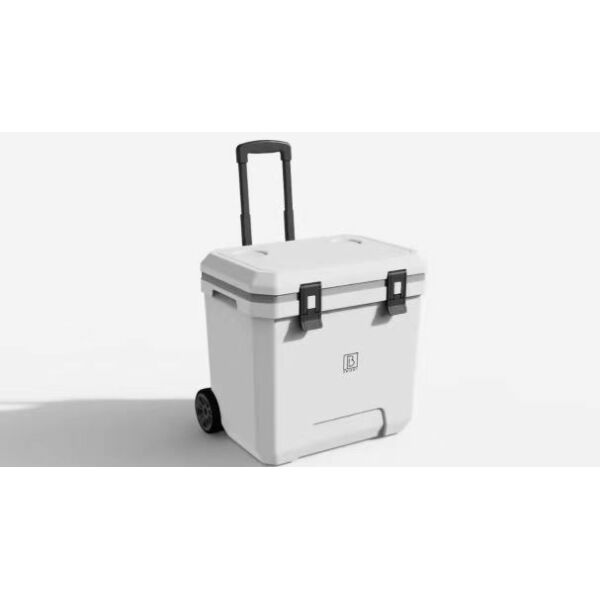 Koelbox Op Wielen Met Handvat, Capaciteit Van 26 L Grote Krachtige Koelbox Met Wielen Voor Vissen Outdoor Camping Groente Moedermelkbewaring,Groen