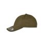 CURVED CLASSIC SNAPBACK CAP, BUCK, One size, FLEXFIT