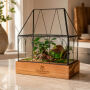 Wardians® Ecosystem - Garden house large Wardians® Ecosystem - Garden house large