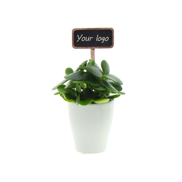 ChalkNotes® - Easy care mix