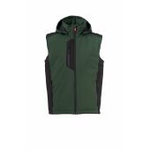 forest green/black