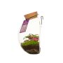 Wardians® Ecosystem - Wall hanger small, Zonder verpakking