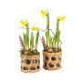 Easter wicker basket medium - Narcis, Zonder verpakking