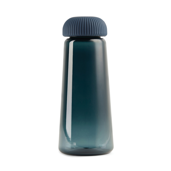 VINGA Erie RCS RPET fles 575ML, blauw