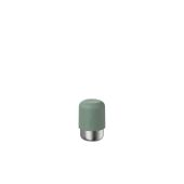 Saliegroen