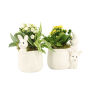 Easter rabbit ceramic medium - Kalanchoë, Zonder verpakking
