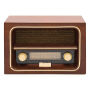 AM/FM radio RECEIVER bruin