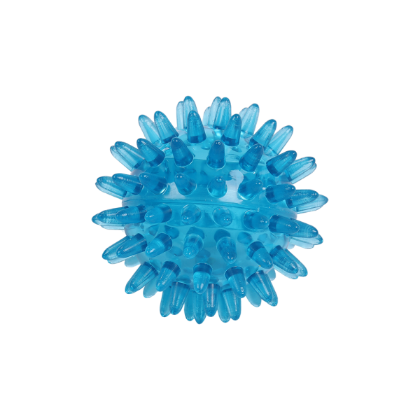 Massagebal / Egelbal 60mm/blauw transparent (neutraal)