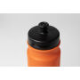 Palmares - sport fles