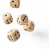 Beech wooden dice set Celine brown