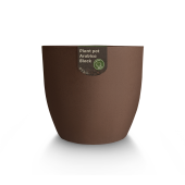 Coffee Based - Plant pot met koffieplant
