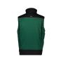 DASSY® Hulst Standard Flessengroen/zwart 3XL