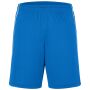 Basic Team Shorts royal/white S