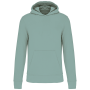 Ecologische kindersweater met capuchon Sage 12/14 jaar