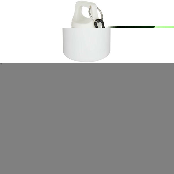 Oregon 750 ml effen RCS gerecycleerde plastic drinkfles met karabijnhaak Oregon 750 ml effen RCS gerecycleerde plastic drinkfles met karabijnhaak