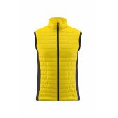 yellow/black