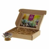 Tiny Treasurez® - Living candle in brievenbusdoosje