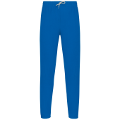Light Royal Blue
