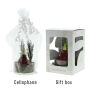 No Water Flowers® - Christmas glass elegance, In cellofaan, Donkerblauw