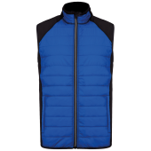 Dark Royal Blue / Black