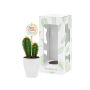 Tiny Greenz with plantlabel, In giftbox, Cacti mix Tiny Greenz with plantlabel, In giftbox, Cacti mix