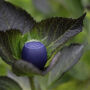 BoomPods - Zero Speaker - Navy Blue