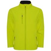 lime punch 235