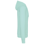 Ecologische herensweater met capuchon Ice Mint 5XL Ecologische herensweater met capuchon Ice Mint 5XL