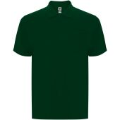 Fles groen