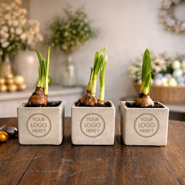 Congreet® plantpots small - Spring edition, Zonder verpakking Congreet® plantpots small - Spring edition, Zonder verpakking