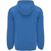 Siberia unisex softshell jack - Koningsblauw - 3XL