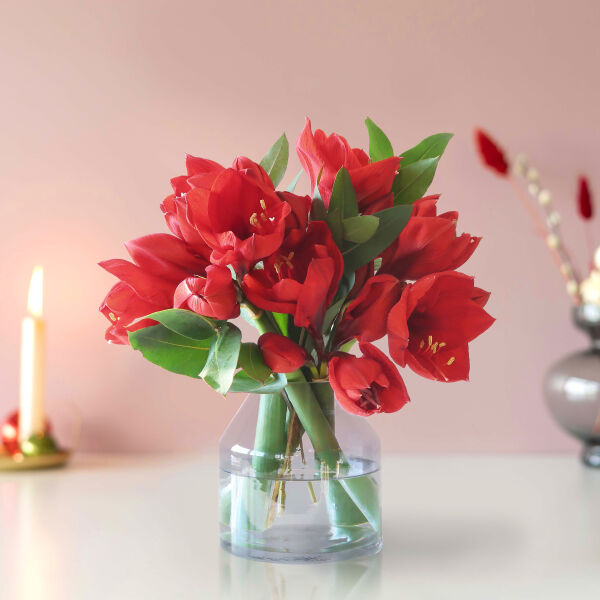 Boeketje Amaryllis rood | Verse bloemen | Brievenbusgeschikt