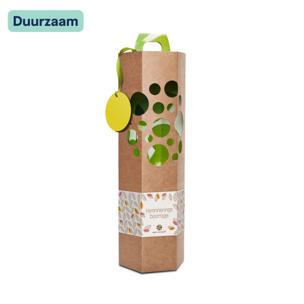 Herinneringsboompje Herinneringsboompje