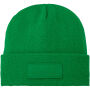 Boreas beanie met patch - Varengroen