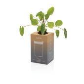 Avira Alya RCS gerecycled roestvrijstalen beker 300ML, turquoise