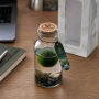 Marimo moss balls - Bottle medium, Zonder verpakking