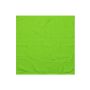 Kitchen Towel - Lime Green