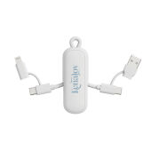 Urban Vitamin Dublin 100W 4 -in-1 keychain cable, wit