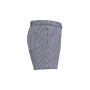 Ecologische gestreepte herenzwemshort White / Navy Blue Stripes XXL