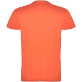 Beagle herenshirt met korte mouwen - Koraal - 4XL