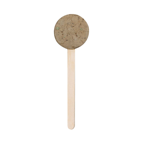 Zaad-Lolly Zaden Ebeldy
