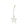 Zaad Kerstdecoratie Boster - ESTR - S/T