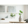 SAVAGE - A5 berken GROWBOOK™ - Hout