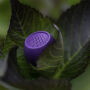 BoomPods - Zero Speaker - Purple