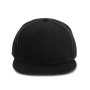 Pet Snapback - 6 panelen Black One Size