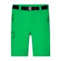 Men's Trekking Shorts fern-green S